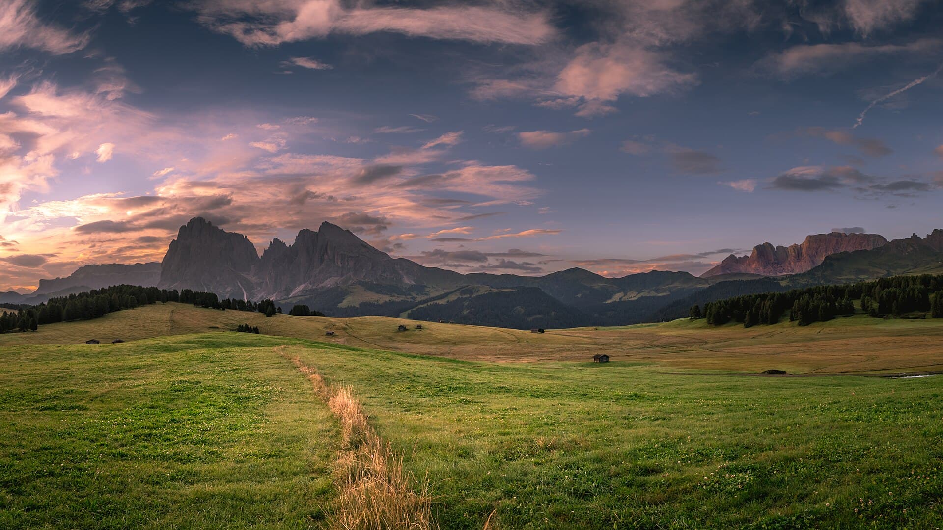 A wide green meadow with a path leading towards mountains at dusk.