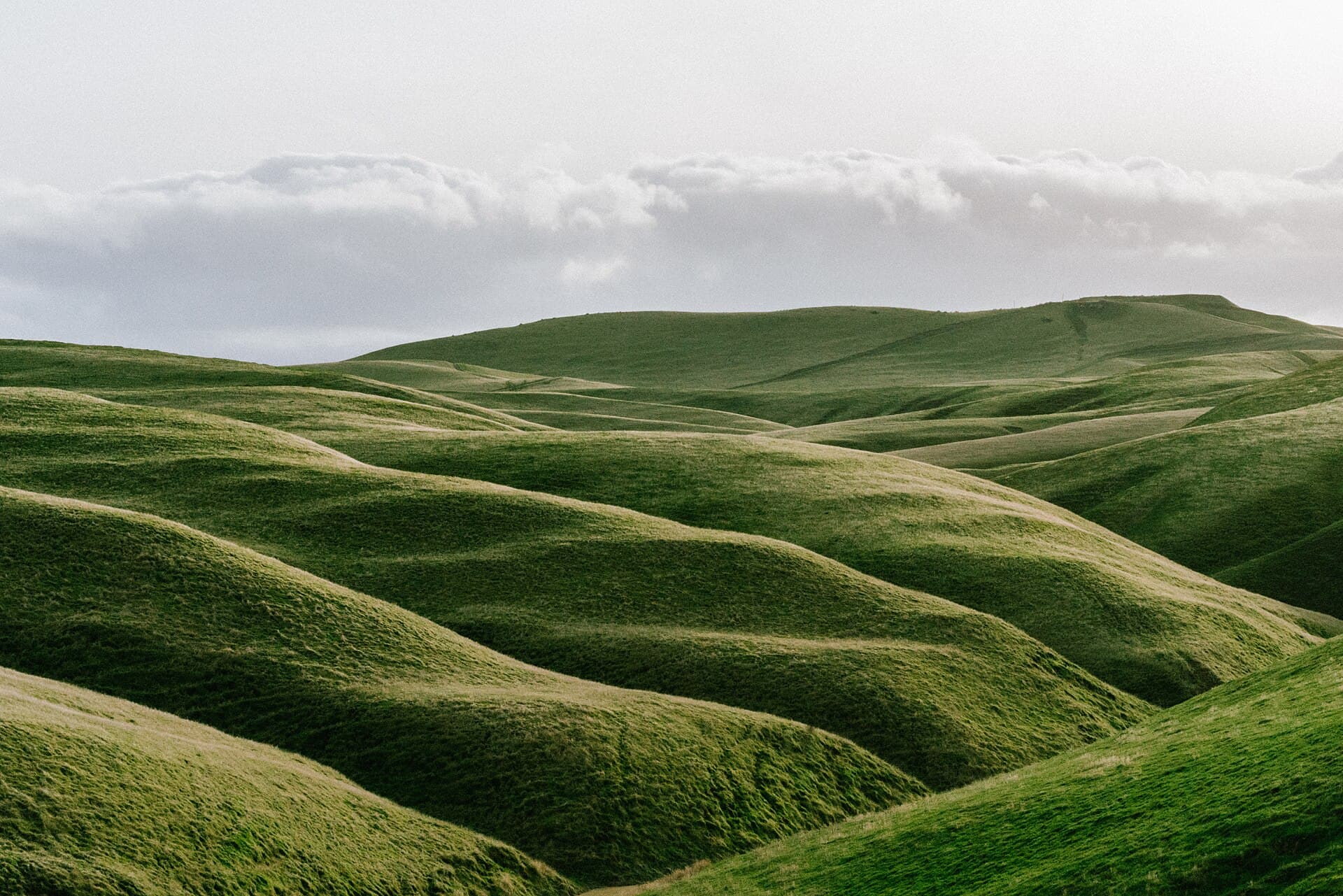 Rolling green hills under a soft band of cloud.